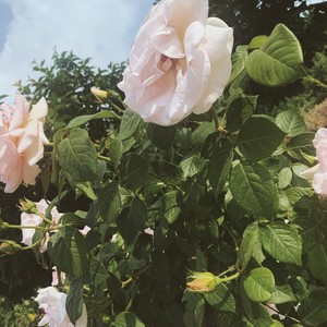 The End of the World