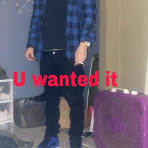 U Wanted It (Explicit)