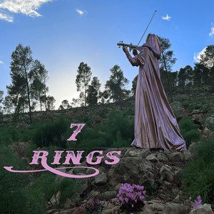 7 Rings (Violin Cover)