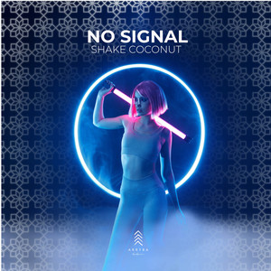 NO SIGNAL