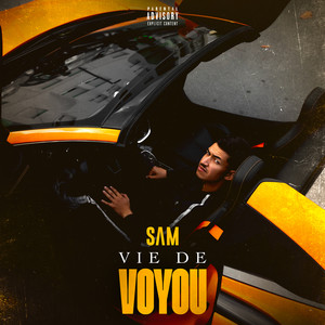 Vie de voyou (Explicit)