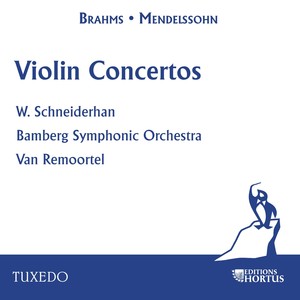 Violin Concerto in D Major, Op. 77 - I. Allegro non troppo