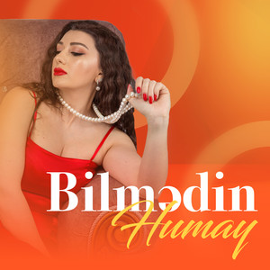 Bilmədin