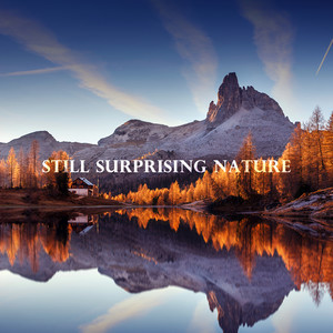 Still Surprising Nature: Feeling Good, Relaxing Time, Peace, Calmness, Meditation