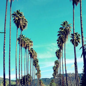 Palm Trees (feat. Allfirstnames & The Oth3rs) [Explicit]