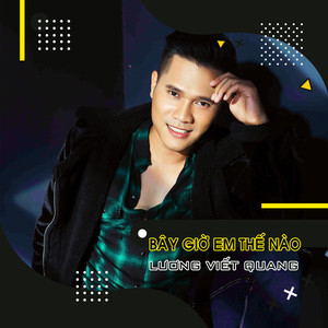 Lương Viết Quang - Chiếc Lá Mùa Đông Remix (Remix)