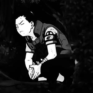 Last nigga (Explicit)