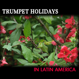 Trumpet Holidays In Latin America, Trompette Latino