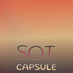 Sot Capsule