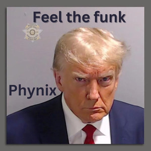 Feel the funk (Explicit)