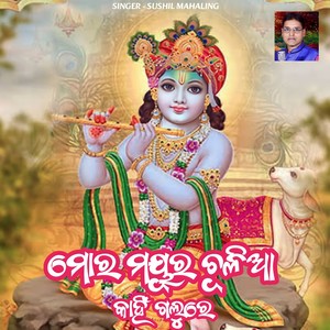 Mor Mayura Chulia Kanhi Galure