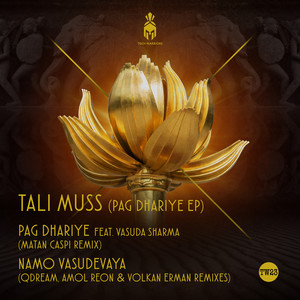 Om Namo Vasudevaya (Amol Reon & Volkan Erman Remix)