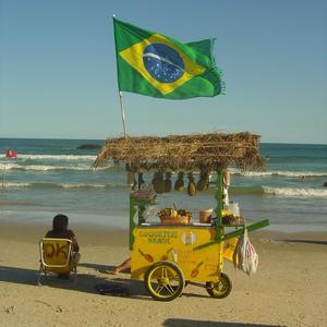 Brazil (feat. Switch The Mc & Yung Fire) (Explicit)