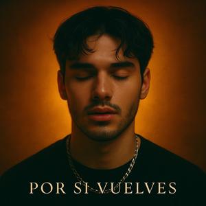 Por Si Vuelves