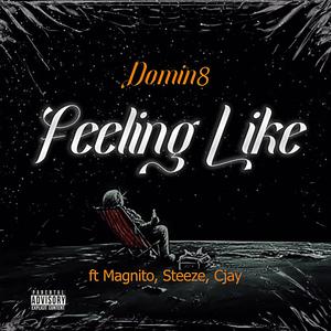 Feeling Like (feat. magnito,steeze,cjay) [Explicit]