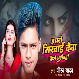 Hamaro Sikhai Dena Kaise Bhulainhi