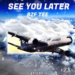 See You Later (Explicit)