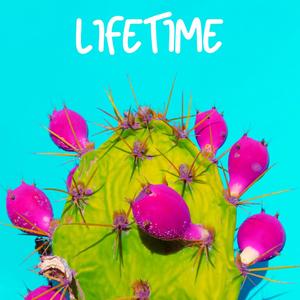 Lifetime