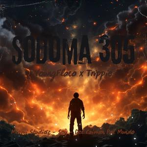Sodoma 305 (feat. Trippie)