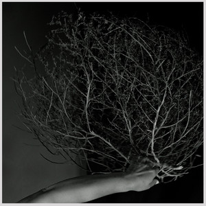 Durazno a cuarenta el ciento