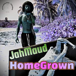 HomeGrown (Slow Down) [Explicit]