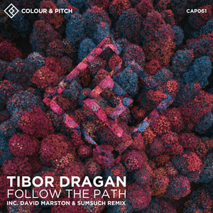 Follow the Path (David Marston & Sumsuch Remix)