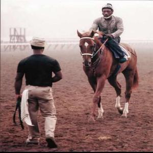 Ride me (Drive me crazy)