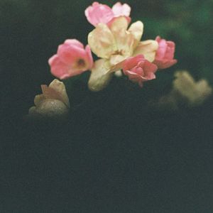 Breath As Love (Guided Meditation)