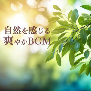 自然を感じる爽やかBGM