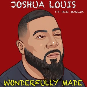 Wonderfully Made(feat. Big Marcus)