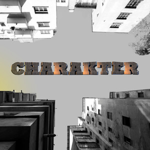 Charakter