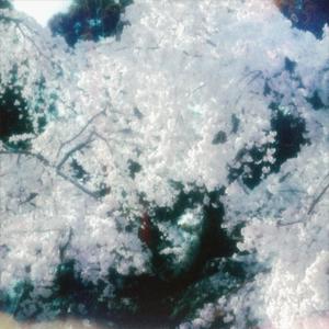 Exodia (feat. Elixyr)