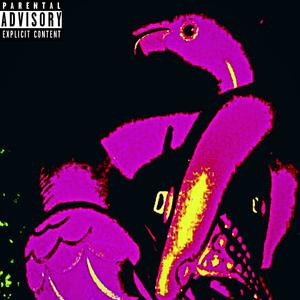 TEQUILA MOCKINGBIRDZ (Explicit)