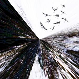 flyaway (feat. kwin)