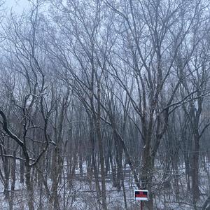 Conflictions (Explicit)