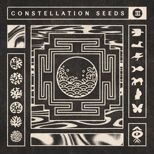 Constellation Seeds 3