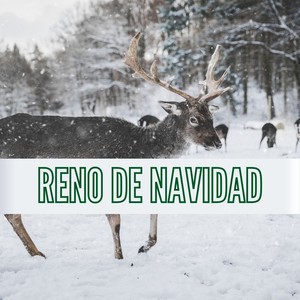 Reno De Navidad