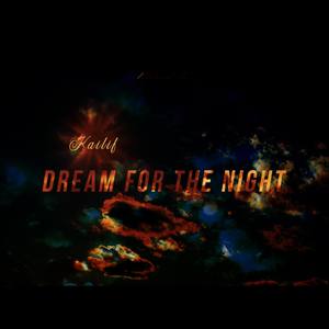 Dream For The Night