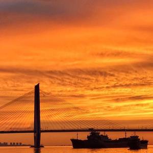 一场游戏一场梦