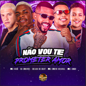 Não Vou Te Prometer Amor (Explicit)