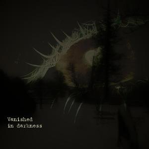 vanished in darkness (Explicit)