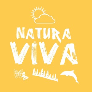 Iris (DJ Chus Muchofrums Mix)