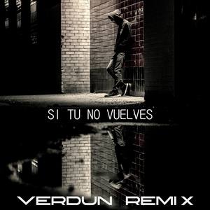 Si Tu No Vuelves (Remix)