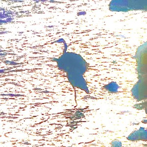 Wicked Dreams (Explicit)