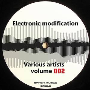 Electronic Modification, Vol. 2