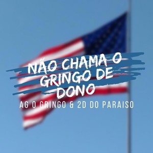 NÃO CHAMA O GRINGO DE DONO (feat. DJ 2D DO PARAISO) (Explicit)