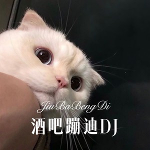 跳个不停 (Remix)