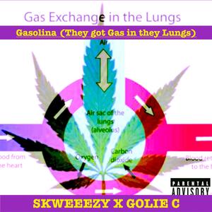 Gasolina (feat. Skweeezy C) [Explicit]