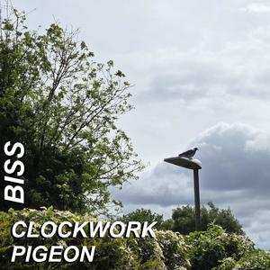 Clockwork Pigeon