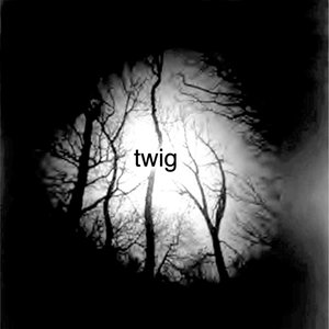 twig